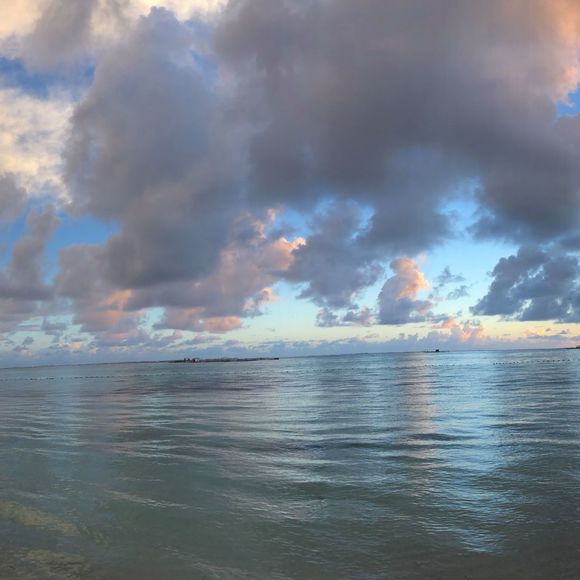 Meet your Posher, Gary - Picture 1 of 1